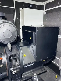 Groupes Électrogènes Diesel 10-250 kVA avec Moteur Perkins Fabriqué en Chine