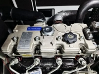 Groupes Électrogènes Diesel 10-250 kVA avec Moteur Perkins Fabriqué en Chine