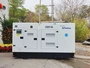 Groupes Électrogènes Diesel 10-250 kVA avec Moteur Perkins Fabriqué en Chine