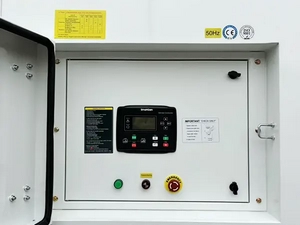Groupes Électrogènes Diesel 33-2500kVA avec Moteur Perkins Fabriqué en Inde