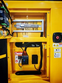 Groupes électrogènes diesel avec moteur Yangdong