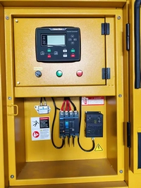 Groupes électrogènes diesel avec moteur Yangdong