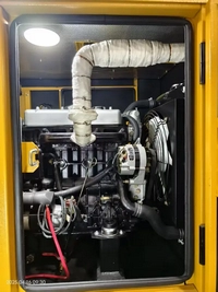 Groupes électrogènes diesel avec moteur Yangdong