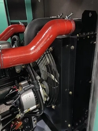 Groupes électrogènes diesel avec moteur Yangdong